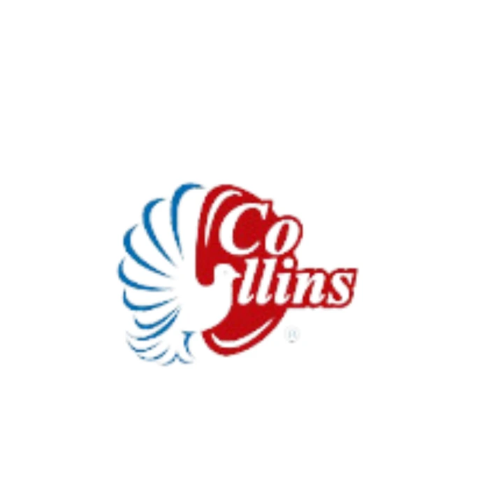 Solapsa Aire Acondicionado Climatización Industrial HVAC Chiller Guadalajara Monterrey Collins