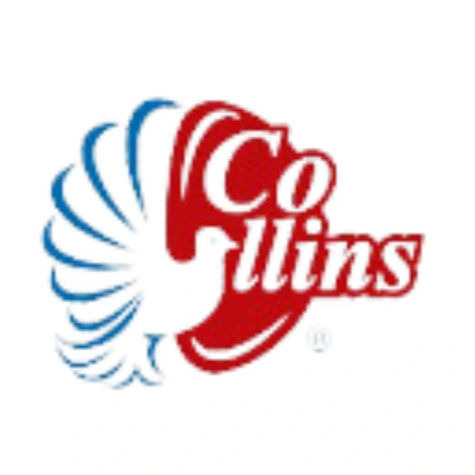 Solapsa Aire Acondicionado Climatización Industrial HVAC Chiller Guadalajara Monterrey Collins